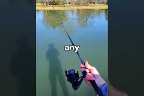 I Tried Catching LIVE BAIT 🐟🎣 #fishing