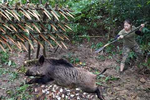 200 days of survival in the wild, wild boar trapping skills, survival alone