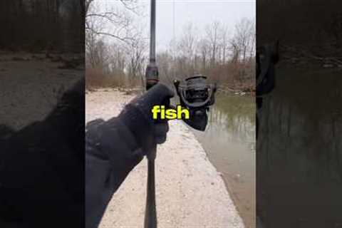 I Caught a Fish 🐟🎣 #fishing