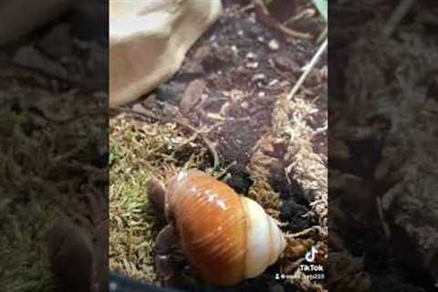 The Importance of Nature