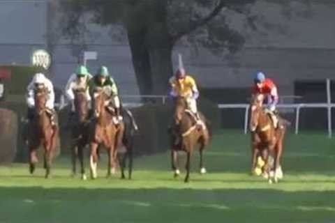 Funny Horse Racing Fails Compilation   Horse Racing Videos 2016