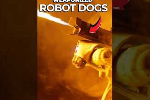 US Military Unveils Weaponised RoboDogs