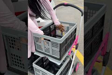 🛒🛍️🐾 Grocery Shopping for My Dogs #asmr #restock #groceryhaul #hroceryshopping #dogmom #viral