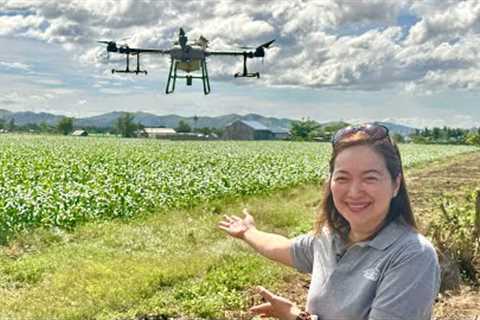 Revolutionizing Philippine Agriculture using Agricultural Drone. Agribusiness How It Works
