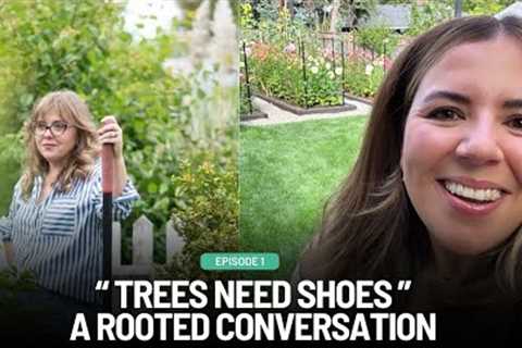 Dreams Becoming a Relaity: A Dive Into Gardening Secrets, Design Tips, Cut Flower Gardens &amp;..