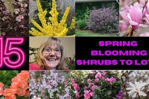 Garden Design Ideas-Spring Blooming Shrubs