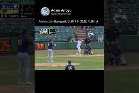 He bunted a home run 😂 #baseball