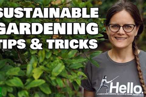 Sustainable Gardening Tips &amp; Tricks