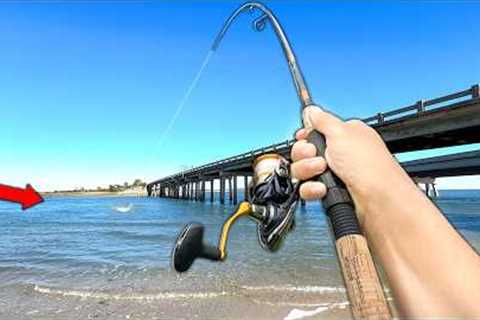 7 Days Fishing in Florida.. Eating Whatever I Catch (Catch and Cook)