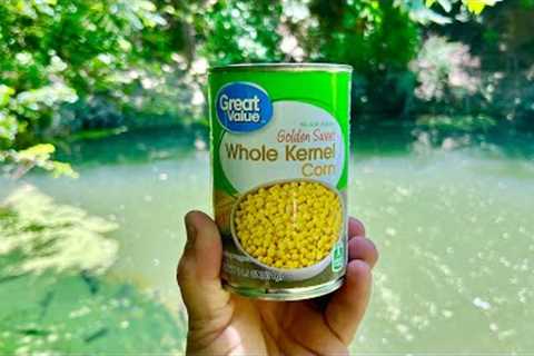 Corn Could be the Best Panfish Bait Ever!