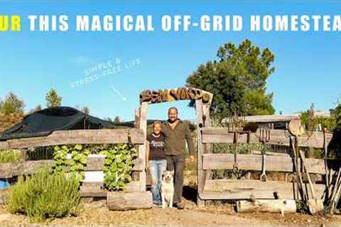 Living On The Land: Building An Off-Grid Self-Sufficient Paradise!