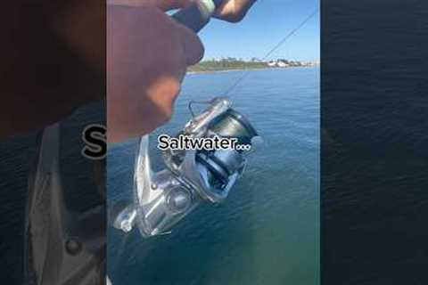 Saltwater…🗣️ #roadto30k #shorts