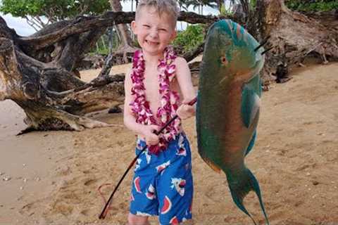 Traveling to Every Island in Hawaii - 9 weeks fishing, camping, hiking, diving &amp; exploring