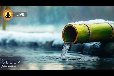 🔴 Relaxing Music 24/7 - Healing Meditation Music, Reduce Stress &amp; Anxiety | Quiet Music for..