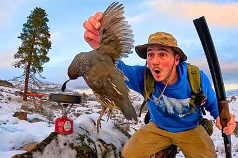 Frozen Mountain Quail Hunting &amp; Wilderness Cooking!!! (Catch &amp; Cook)