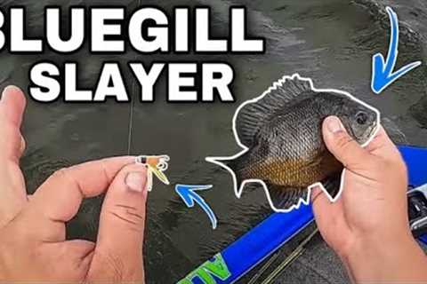 The ULTIMATE JIG For BLUEGILL Fishing In 2023‼️ BULLY BLUEGILL JIGS‼️