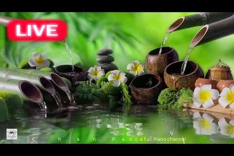 🔴 Relaxing music helps reduce stress 🌿 Stop anxiety, depression • Heal mind, body and soul