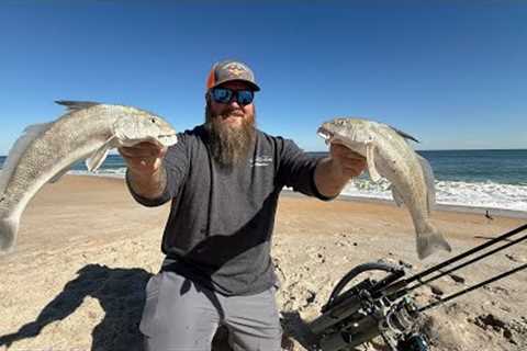 Winter Surf Fishing! These underrated fish are delicious! | Whiting | Catch Clean Cook