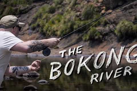 The Fly Fishing Story I Couldn't Finish.