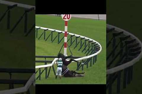 Horse racing accident #fjordigang #horse #equestrian #horseedit #edit #riding #horseriding #pony