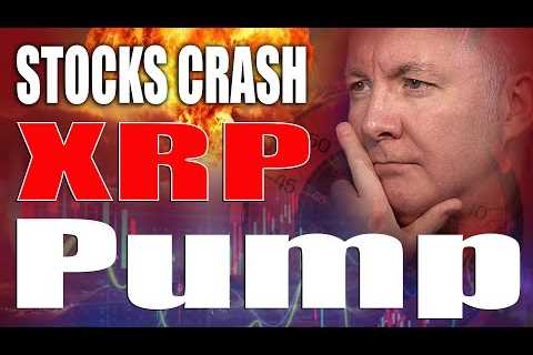 XRP Ripple PUMP! STOCK MARKET CORRECTION!  Martyn Lucas Investor
