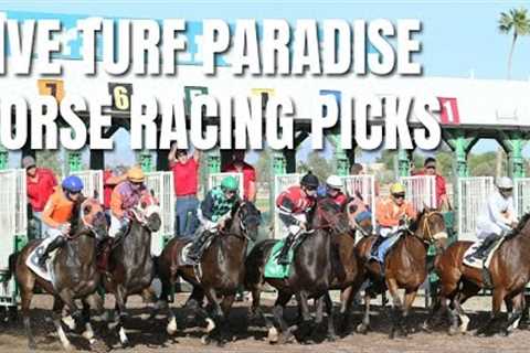 Live Racing From Turf Paradise and Picks
