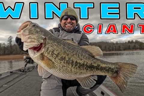 GIANT 9 lb BASS + Cold Water Fishing Tips!