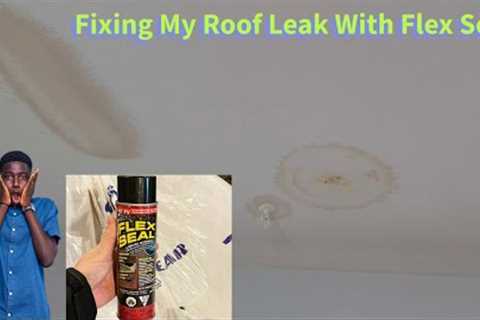 Fix ANY ROOF LEAK in Minutes with Flex Seal!