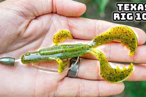 Learn To Fish A Texas Rig In 2024! (Success Guaranteed)