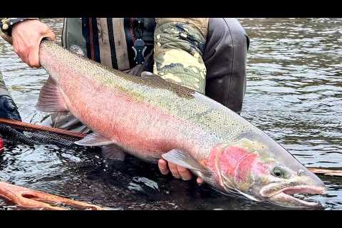 Steelhead Fishing Etiquette Boat &amp; Bank edition.