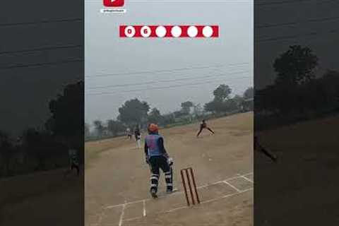 Pacer vs Batsman ⚡💥 A Fierce Fight Unfolds I #cricket #trending #cricketlover #youtubeshorts..