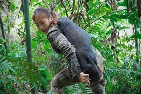 100 days of survival in the wild, wild boar trapping skills, shelter building, wild survival alone