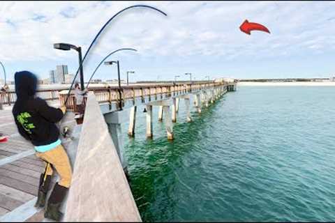 Fishing Cut Bait on This GULF PIER to Catch Dinner! *Catch &amp; Cook*