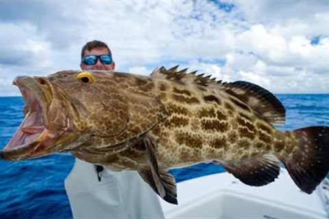 3 Days of Florida Offshore Fishing! Catch Clean Cook (Black Grouper)