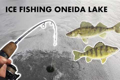 Hooked a GIANT! Ice Fishing Oneida Lake for Walleye and Perch