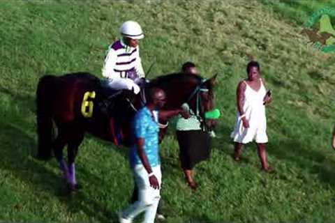 BTC RACE DAY 26TH DEC 2024   RACE 5