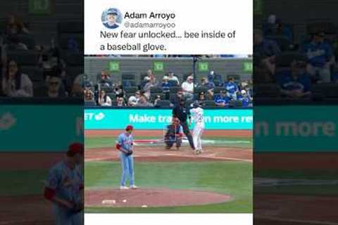 New fear unlocked 🤯 #baseball