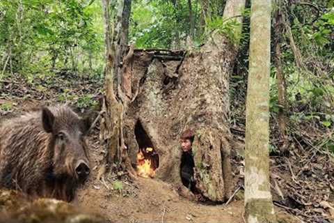 4 Days of Camping, Survival in the Jungle, Building a Shelter to Avoid Wild Boars