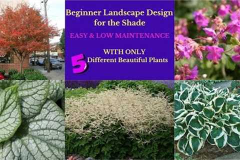 Landscape Design Ideas:  Beginner Shade Garden