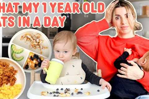 What my 1 Year Old Eats in a Day (and Yes I’m Still Breastfeeding)