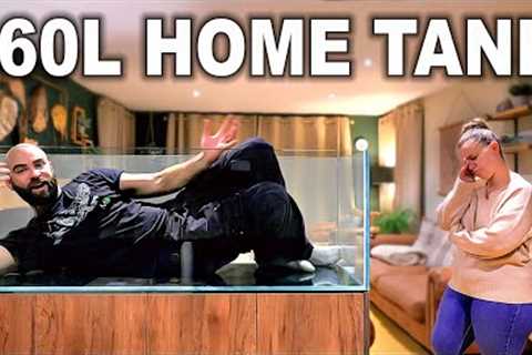 Building A Community Home Aquarium (EP1)