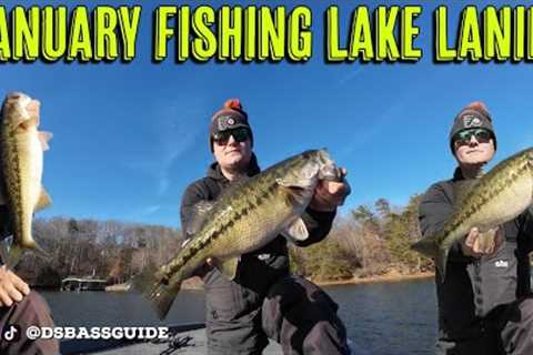 January Bass Fishing Lake Lanier | Jigs and Swimbaits for Spotted Bass
