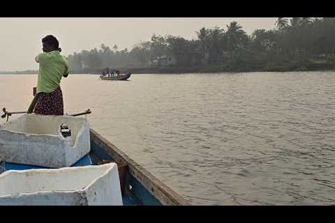 Banana 🍌  Fishing  started 😁😁😅