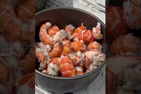 Monster Yabbies Catch and Cook