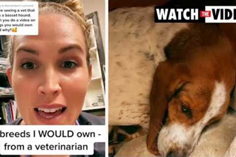 Vet goes viral after revealing the best and worst dog breed