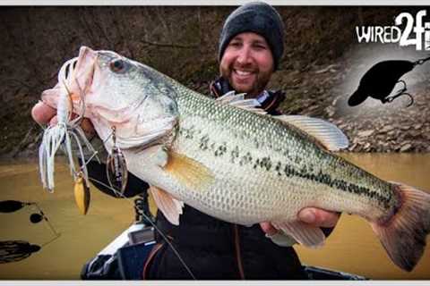 Bass Fishing After a Rain: HUGE BASS on EARLY SPRING RUNOFF!