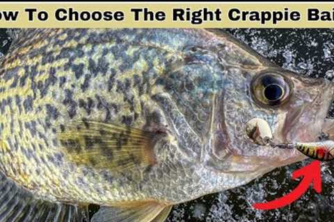 Don't Go Ice Fishing for CRAPPIES Without THIS Knowledge!