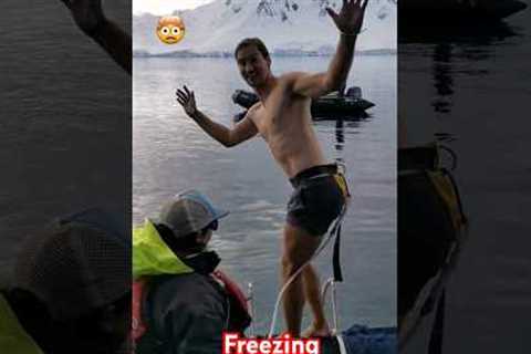 Epic Polar Plunge in Antarctica #shorts #travel #jump #antarctica