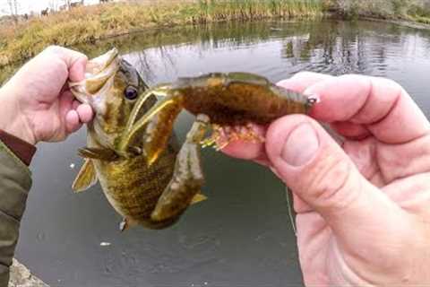 Sleeper Craw Bridge Fishing