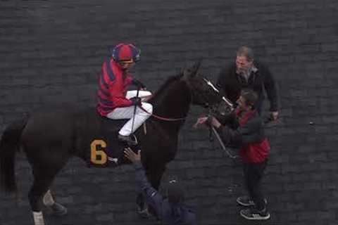 Gulfstream Park Replay Show | January 17, 2025